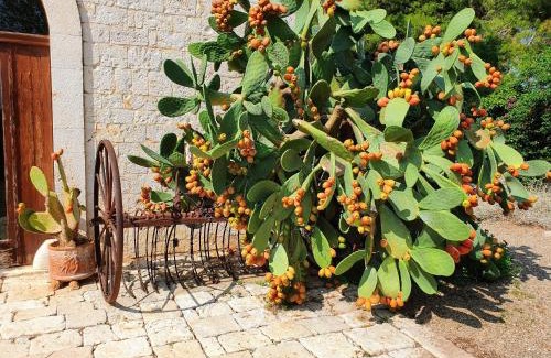 Rutigliano House | Masseria Agrituristica Lama San Giorgio