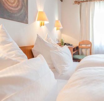 Mahringen Hotel | Mayers Waldhorn - zwischen Reutlingen und Tübingen