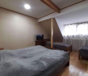 Borjomi Apartment | Melano apatment