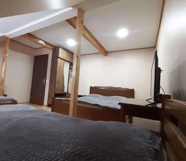 Borjomi Apartment | Melano apatment