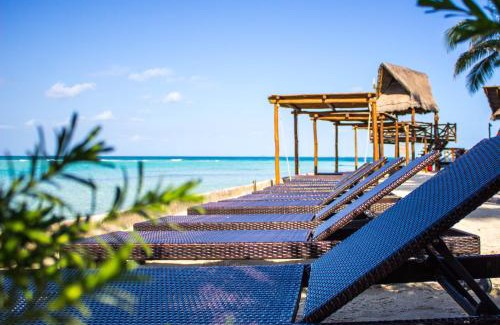 Centro - Supmza 001 Resort | Mia Reef Isla Mujeres - All Inclusive Resort