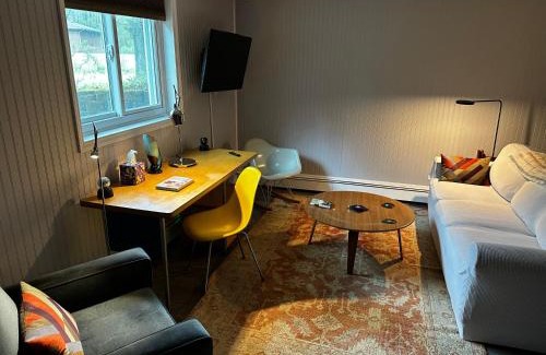 Staatsburg Apartment | Mid-Century DJs Dream near Rhinebeck