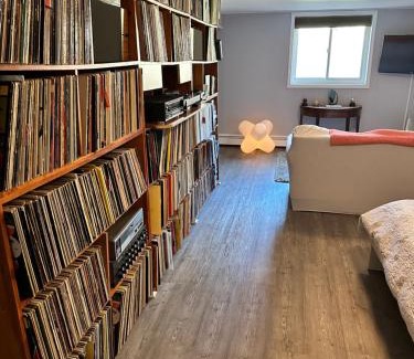 Staatsburg Apartment | Mid-Century DJs Dream near Rhinebeck