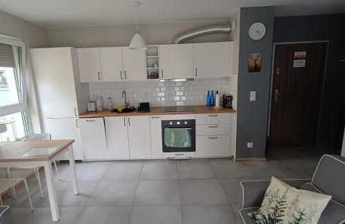 Oborniki Slaskie Apartment | Mieszkanie Oborniki Śląskie