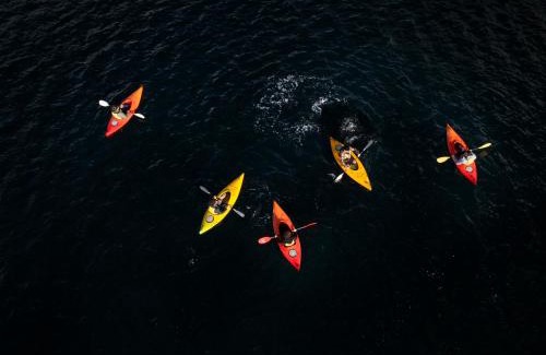 Milford Sound Boat Rental | Milford Sound Overnight Cruise - Fiordland Discovery