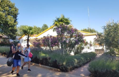 Funtana Resort | Mobile Homes Banko in Bijela Uvala and Zelena laguna