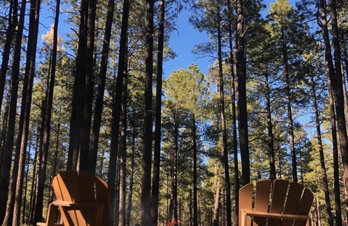 Heber Cabin | Modern cozy Forrest Lakes Cabin