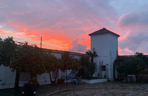 Montoro House | Molino La Nava