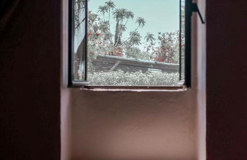 Medronhal House | Monte Do Afonso
