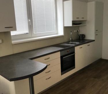 Nove Mesto na Morave Apartment | Na Modřínové