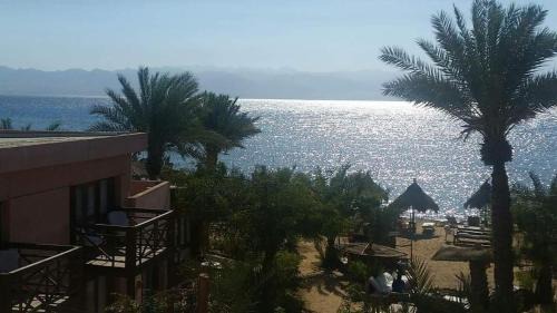 Nuweiba Hotel | Nakhil Inn Nuweiba