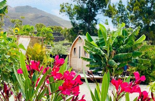 Buzanada Apartment | Nashira HOT TUB PISCINA Y JARDIN