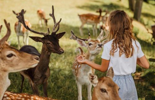Wershofen Hotel | Natur- und Wohlfühlhotel Kastenholz