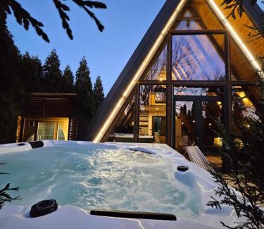 Central Serbia Ski Chalet | Navas River House