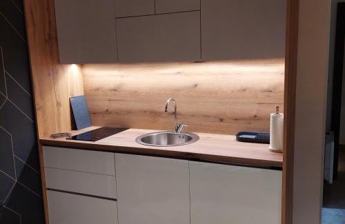 Lisina Apartment | Nela apartmani (u hotelu Djina)
