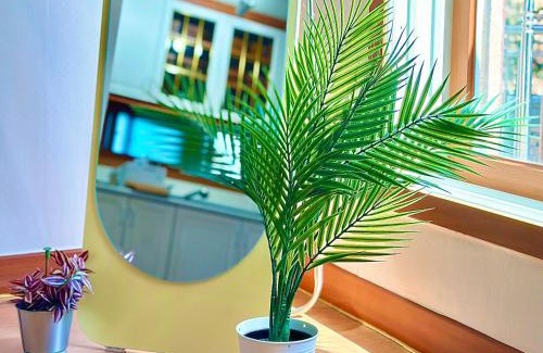 Hapjeong-dong Villa | New, 3min to Hapjeong St, Airport bus stop, 8min to Hongdae & Mangwon Market, Han River Park, 2BR 3QB full of sunshine, Hotel bedding, City Nature