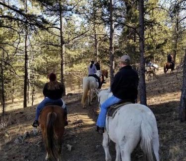 Lake George Ski Chalet | New! Charming cozy Cabin Colorado National Forest