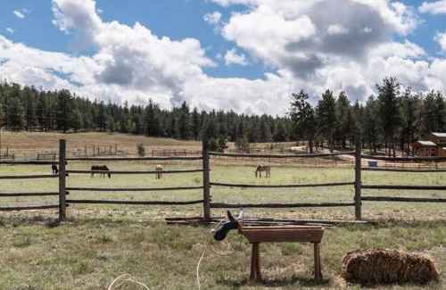 Lake George Ski Chalet | New! Charming cozy Cabin Colorado National Forest