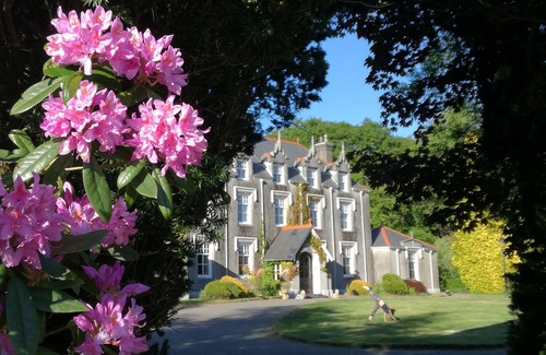 Margam Apartment | NEW Listing - Fairytale Manor House with Indoor Swimming Pool