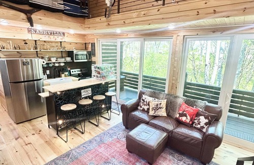 Kedron Cabin | NEW PRIVATE Quiet Cabin~Mountain Forest View~3 KING BEDS~FIRE PIT, 1 ACRE~HIKING