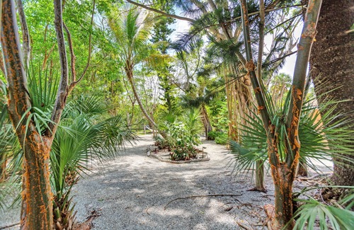 Sanibel Cottage | Newly remodeled Parrot Nest Toucan Cottage! Walk to beach, shops, restaurants!