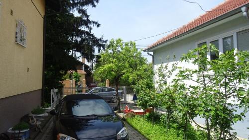 Central Serbia Apartment | Nikiva I