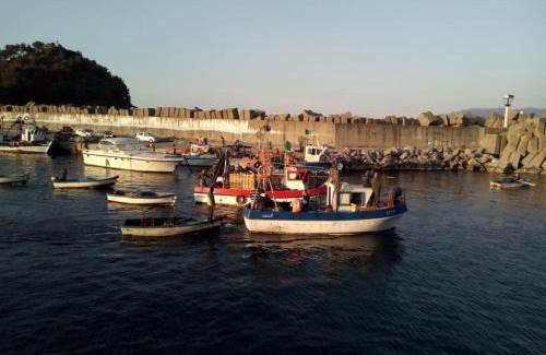 Ziama Mansouria Apartment | Niveau de Villa entre Béjaïa et Jijel (Ziama)