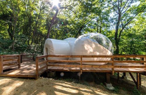 Noszvaj Hotel | Nomad Hotel & Glamping