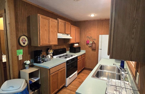 Indian River Cabin | Oak Haven Cottage Secluded & Rustic near Burt Lake Sleeps 6