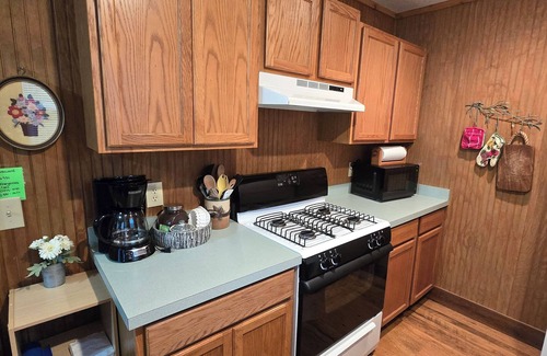 Indian River Cabin | Oak Haven Cottage Secluded & Rustic near Burt Lake Sleeps 6