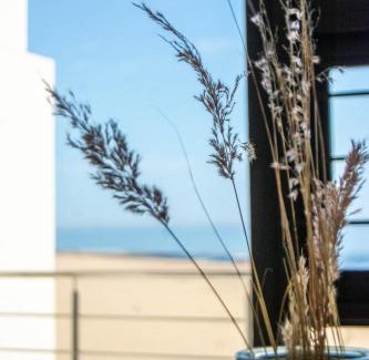 Langstrand House | Ocean Dream Beach Cottage