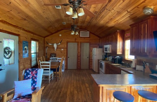 Bridgeport Cabin | Open modern Cabin, fishing, shooting range, tranquil/private, firepit, 4W, canoe