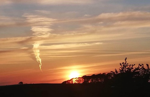 Looe RV Rental | Orchard View Yurt near Looe & Coastal Path