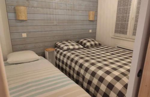 Bielle Apartment | Ossau T2 5 personnes tout confort près du ski linge de maison inclus parking moustiquaires vue montagne plein sud