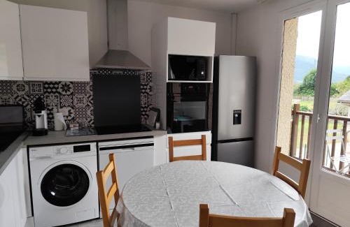 Bielle Apartment | Ossau T2 5 personnes tout confort près du ski linge de maison inclus parking moustiquaires vue montagne plein sud