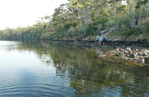 Hastings Cabin | Oyster Shack