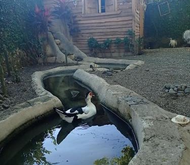 Santiago Province Bed & Breakfast | Paraiso Hortensia Ecolodge