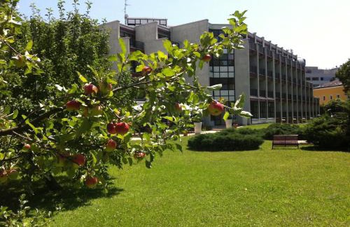 Elisabeth-Vorstadt Hotel | Parkhotel Brunauer