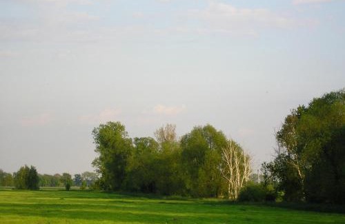 Schoenewalde Hotel | Parkhotel Schönewalde