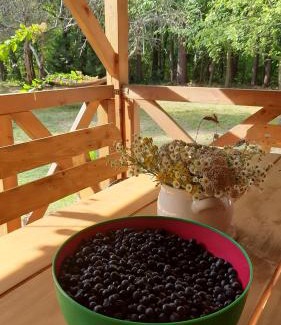 gmina Jadow House | Pasieka Dobro i Smak