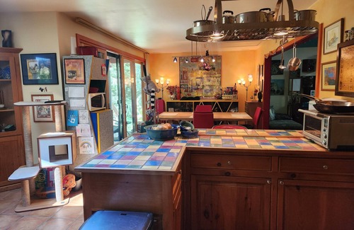 Chapel Hill House | Peaceful, Private Woodland Lot, 9 Minutes to UNC/Downtown Chapel Hill