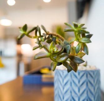 East Lawrence Bed & Breakfast | Penn Street Retreat