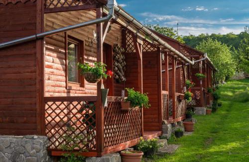 Bazna House | Pension Bassen