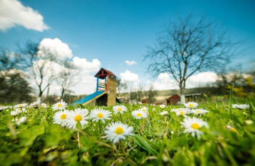 Bazna House | Pension Bassen
