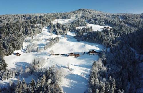 Pichl-Preunegg House | Pension Bergbauernhof Irxner