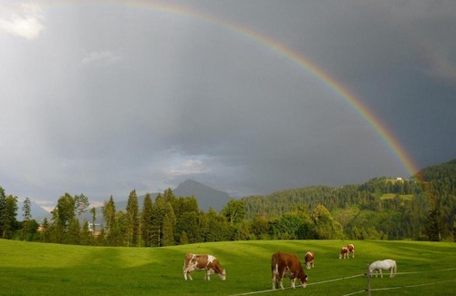 Going am Wilden Kaiser House | Pension Sunnbichl