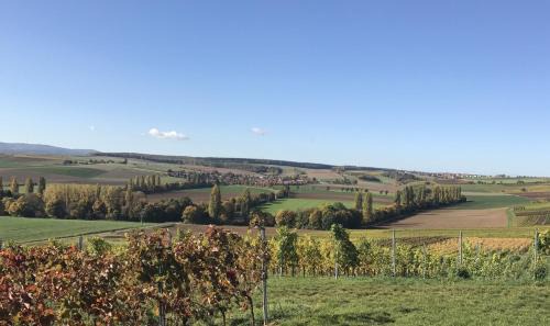 Offenheim House | Pension und Weingut Hirschhof