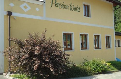 Faistenau Apartment | Pension Wald