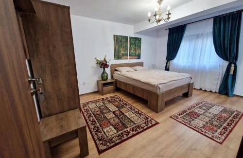 Radaseni House | Pensiunea Izvorul Liniștii