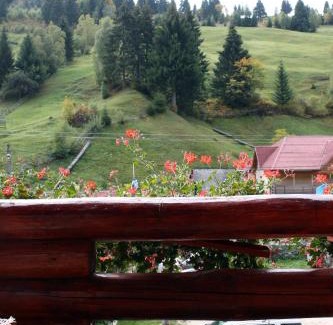 Moeciu de Sus House | Pensiunea Moeciu Casa Wiarusti